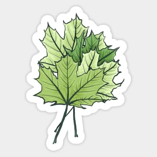 Green Maple Leaves Sticker